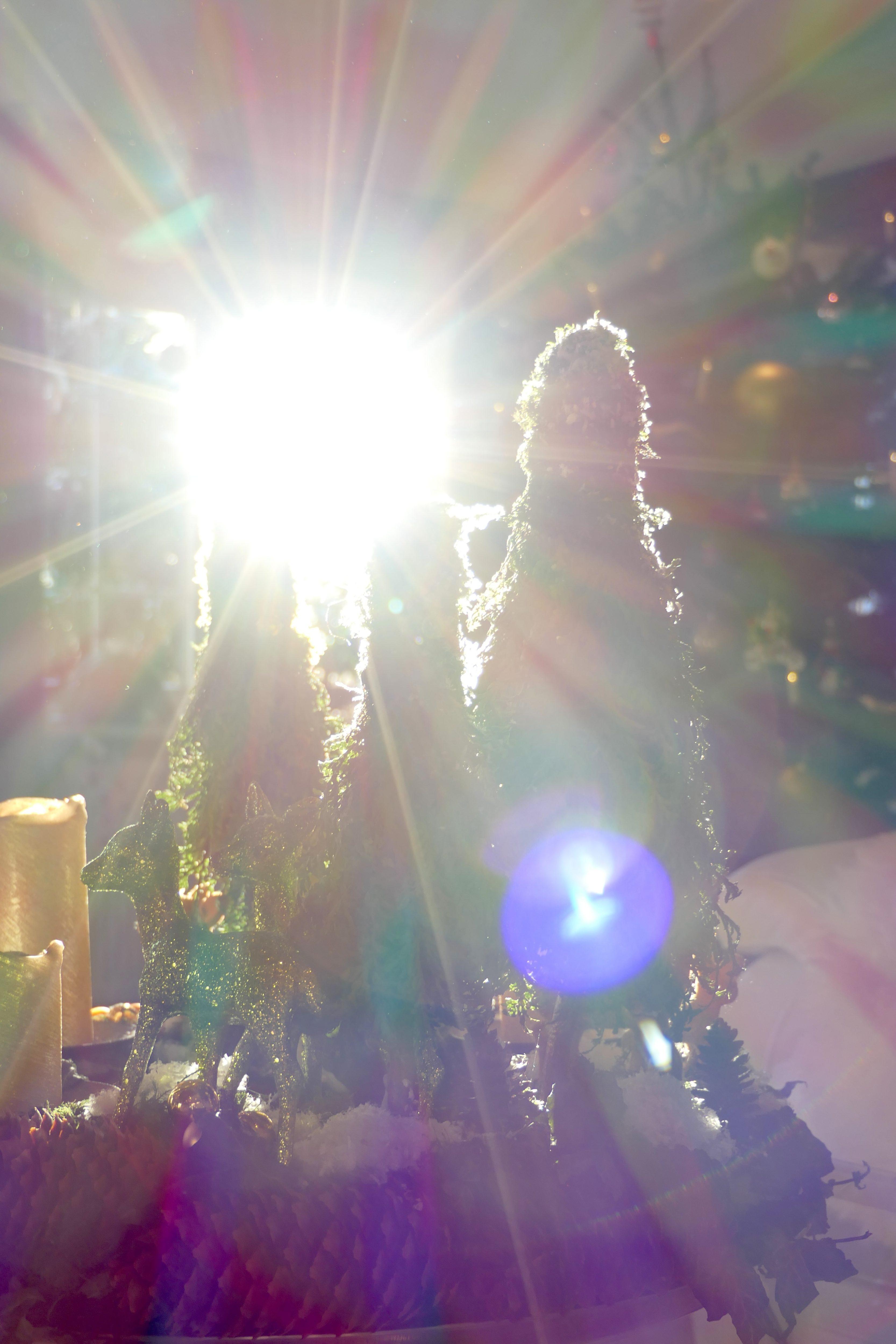 Ich bin das Licht. Coaching mit Daniel Balatsos