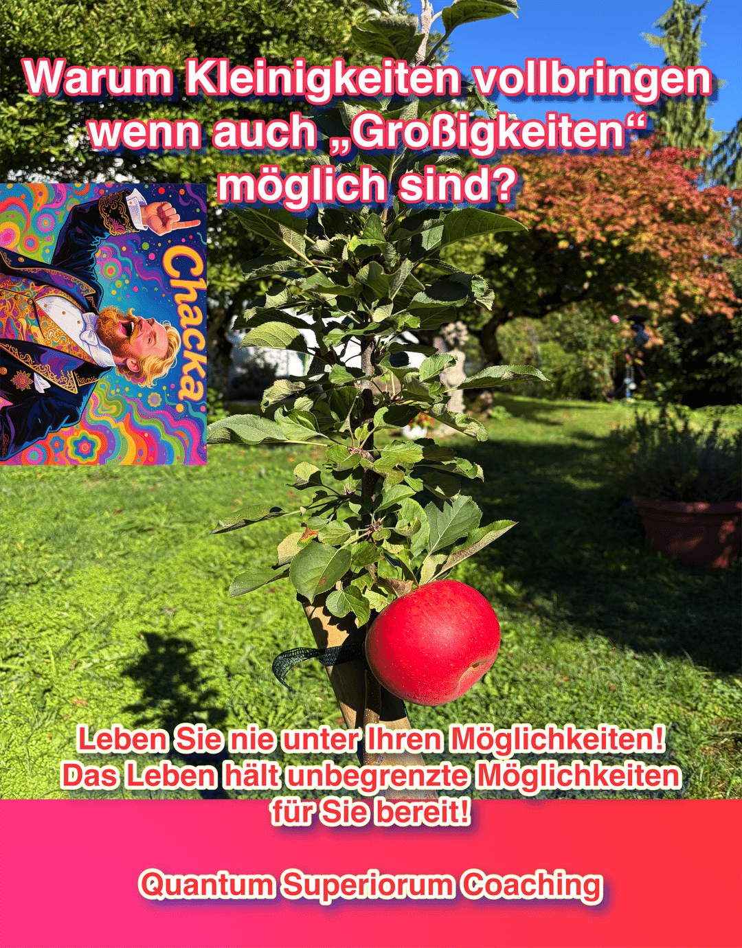 Großes Leben ist das, was das Leben von uns möchte.
Lernen Sie echten Erfolg und Persönlichkeitsentwicklung mit Quantum Superiorum Coaching von Daniel Balatsos D.O.